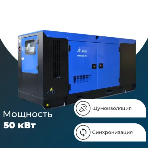 ТСС АД-50С-Т400-1РКМ11 промышленный генератор в шумозащитном кожухе 038475