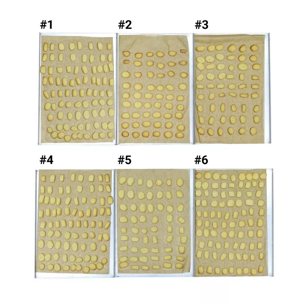 Конвектомат электрический Distform MyChef Bakershop Air-S 10 trays 60x40, right (BSS1100D)